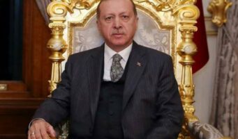 Российский эксперт: Эрдоган корчит из себя или новоявленного султана, или фюрера 