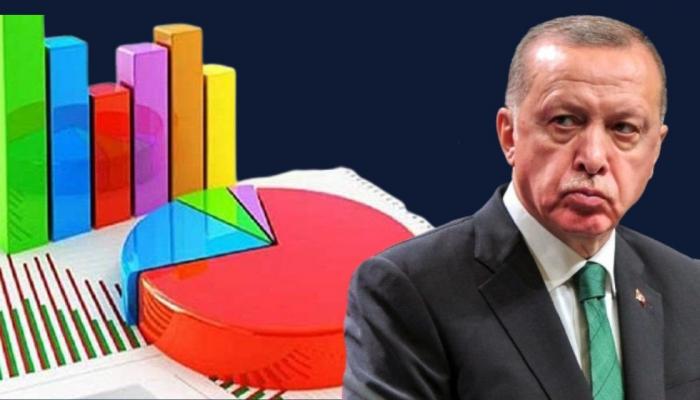 Больше половины турок считают, что Эрдоган плохо управляет экономикой