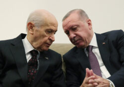 Сельчук Оздаг: Эрдоган и Бахчели договорились провести досрочные выборы